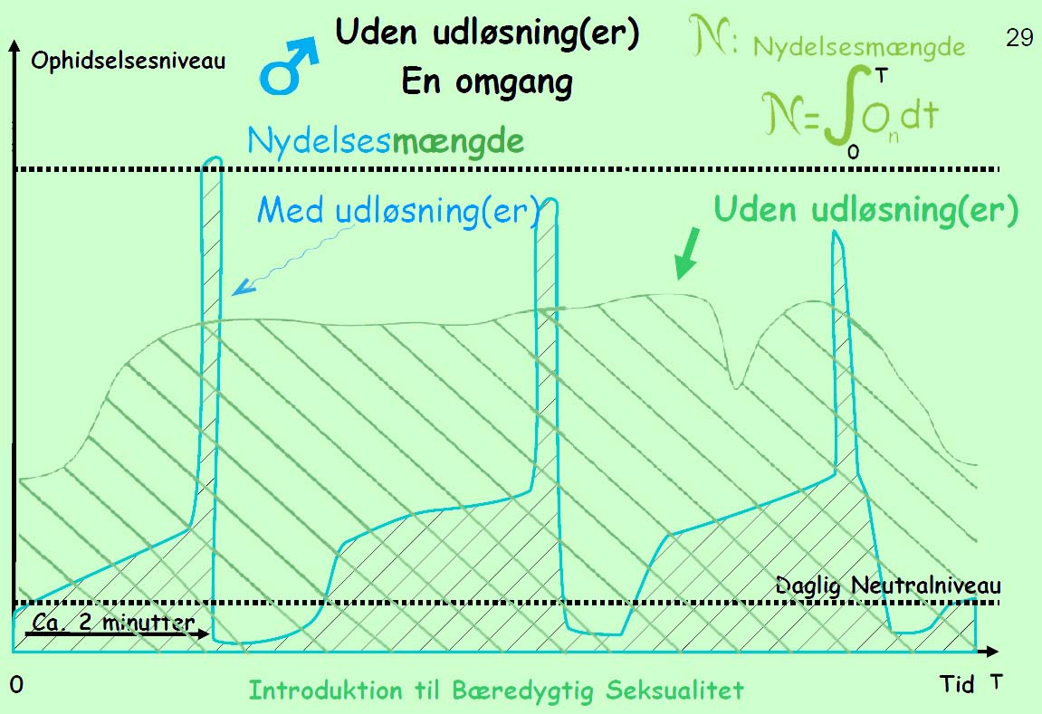 nydelse_integral_example